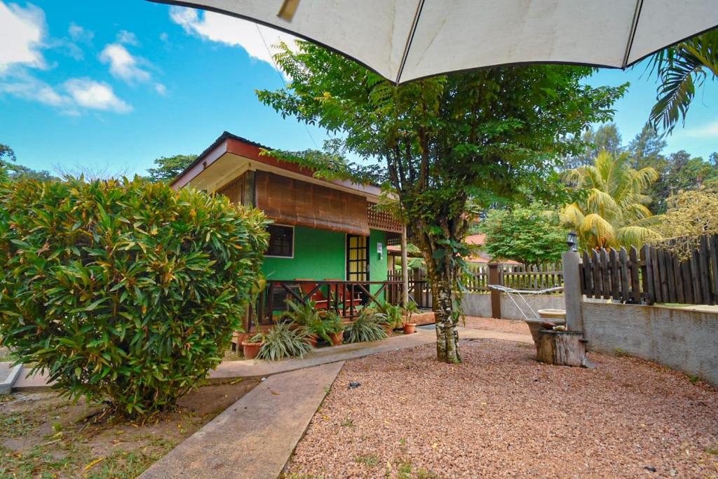 uma casa verde com um guarda-chuva em frente em Fern Lodge Self Catering em La Digue