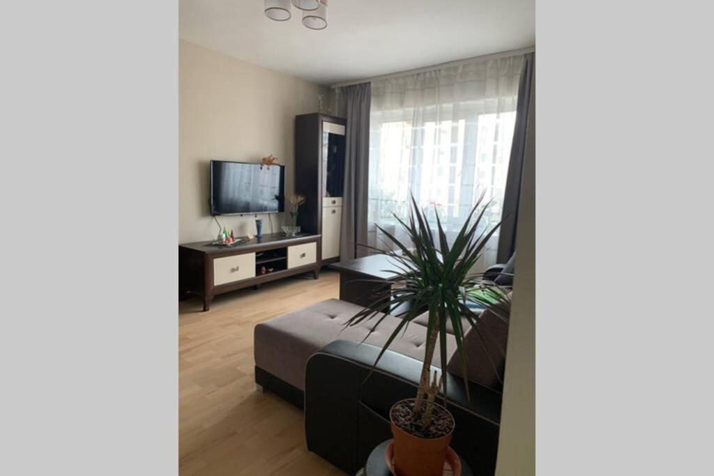 a living room with a bed and a potted plant at Skolas street seaside space! in Jūrmala