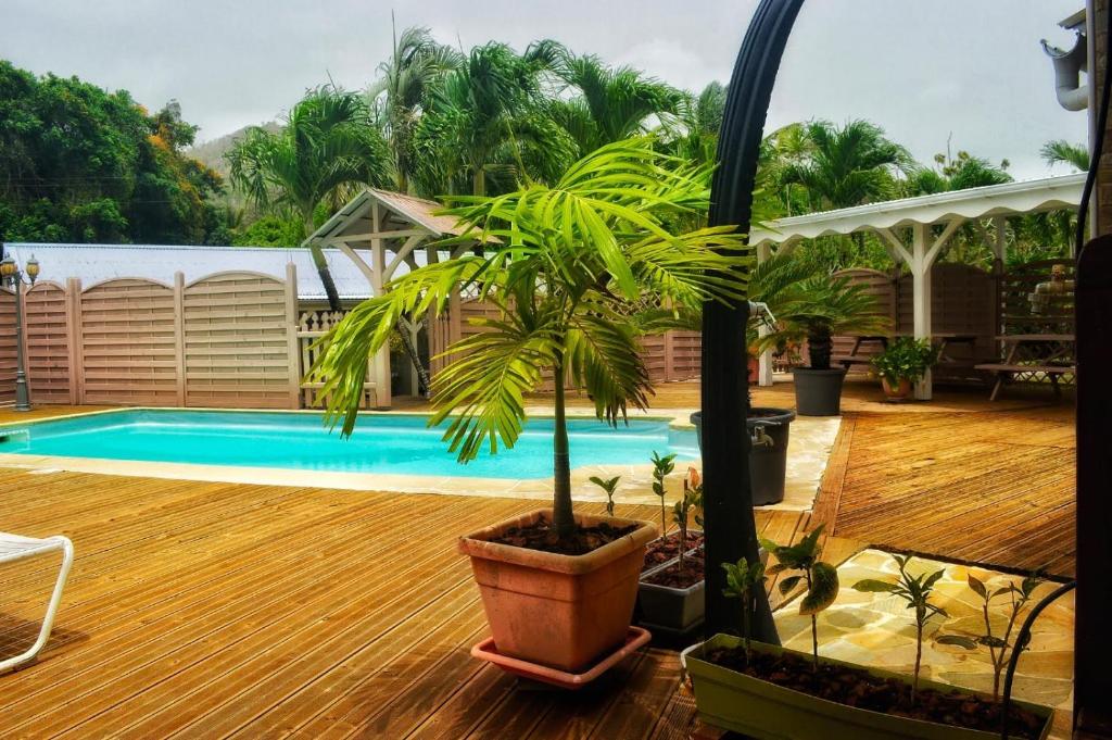una piscina con una palmera en una terraza de madera en Les Bungalows Couleurs Soleil, en Le Vauclin