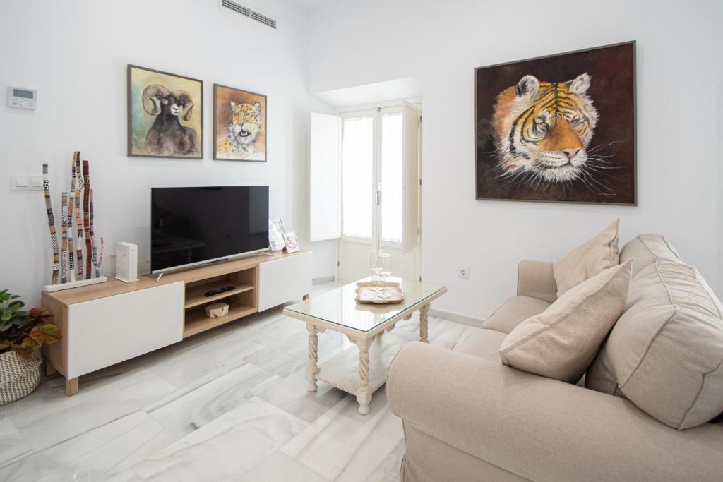 sala de estar con sofá y TV en Apartamento Animalia, en Cádiz