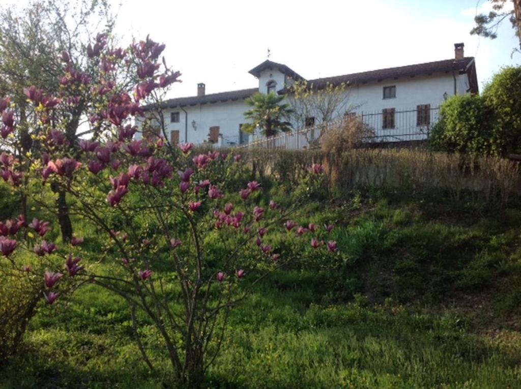 Cascina Gardina في Castellero: منزل على تلة مع الزهور الزهرية في الفناء