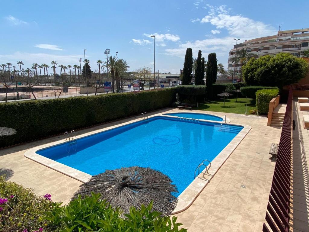 una gran piscina azul en un patio en S&H La Malasaña en San Vicente del Raspeig