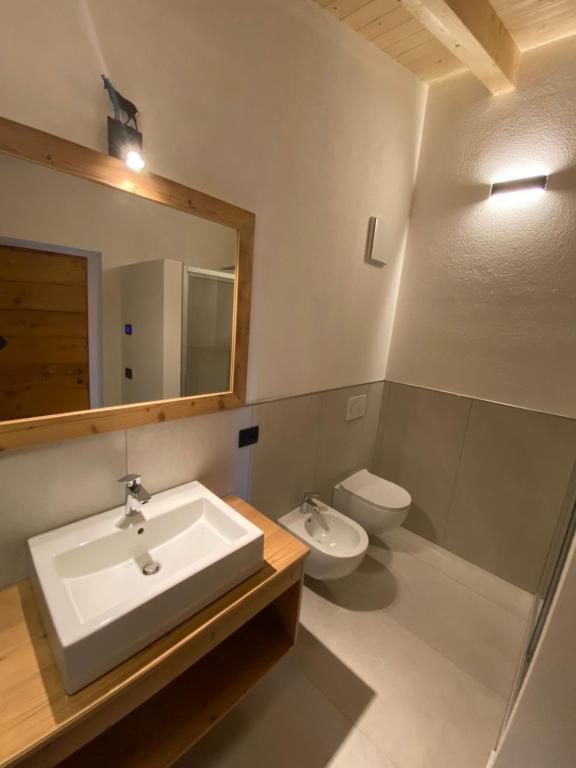 A bathroom at Cèsa Prinoth