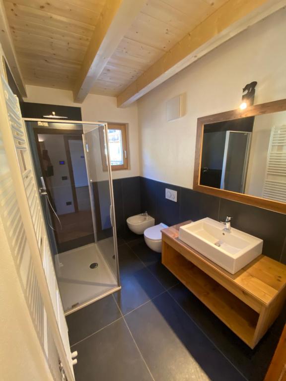 A bathroom at Cèsa Prinoth