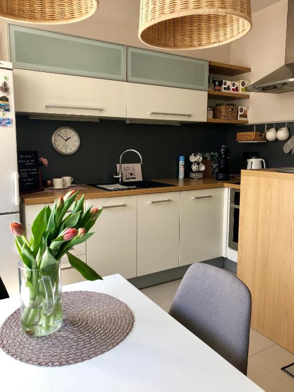 Kuchyň nebo kuchyňský kout v ubytování Apartmán SUZANNE