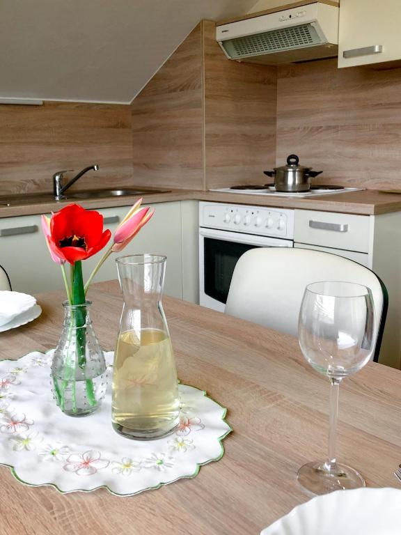 Kuchyň nebo kuchyňský kout v ubytování Apartments Sončnica