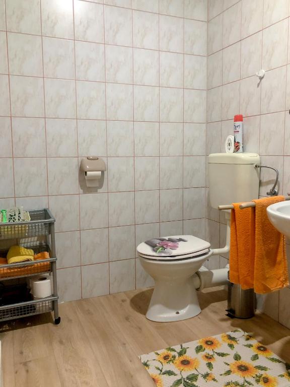 Koupelna v ubytování Apartments Sončnica