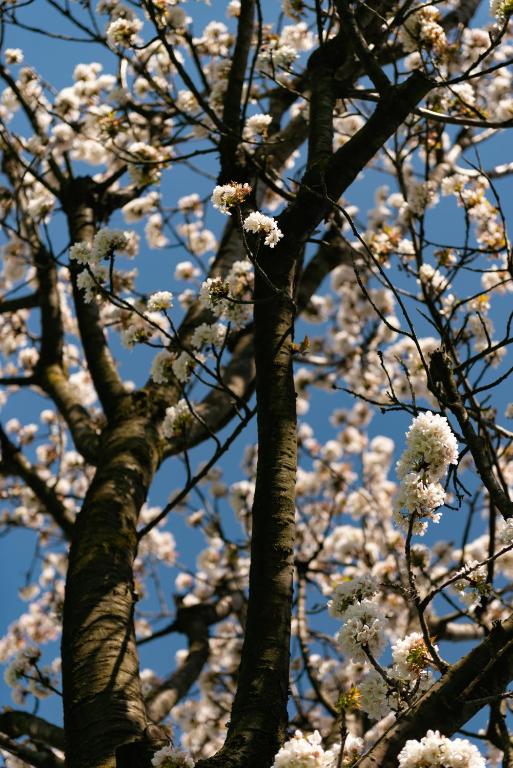 Fotografie z fotogalerie ubytování Cascina Pajanòt v destinaci Benevello
