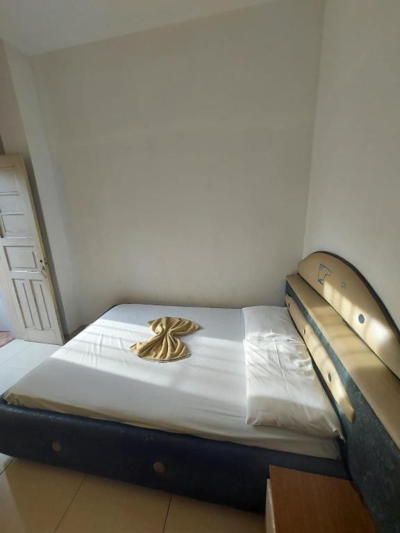  Hotel Brasilia Palace