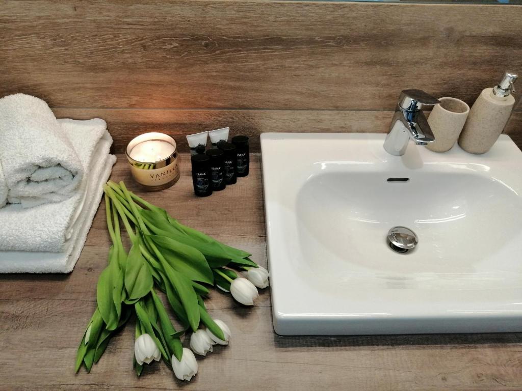 Cicha Przystań Apartamenty Platany - 13