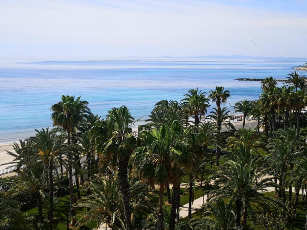 Fotografia z galérie ubytovania El Palmeral,SEA VIEW,POOL- seasonal v destinácii Torrevieja