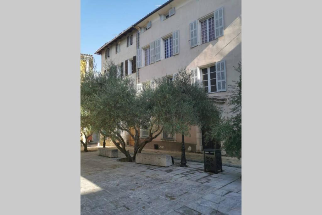 un edificio con un árbol delante de él en F1 RDC indépendant dans bastide du XVème en Brignoles