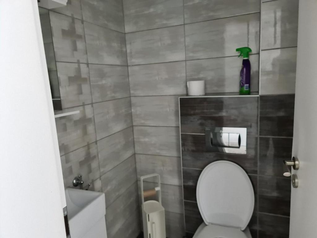 Koupelna v ubytování Villa Tatalia, Bozhurets