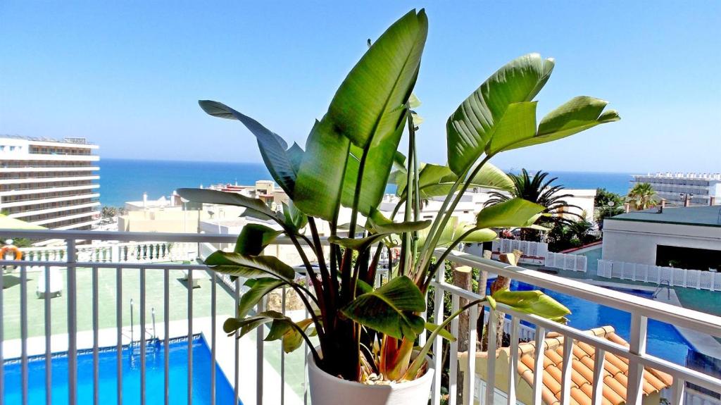 Sea Views and big balcony, Torremolinos – Bijgewerkte prijzen ...