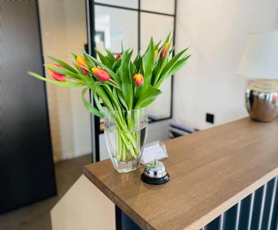 Hotel Astra Tajemniczy Ogród - Resim 12