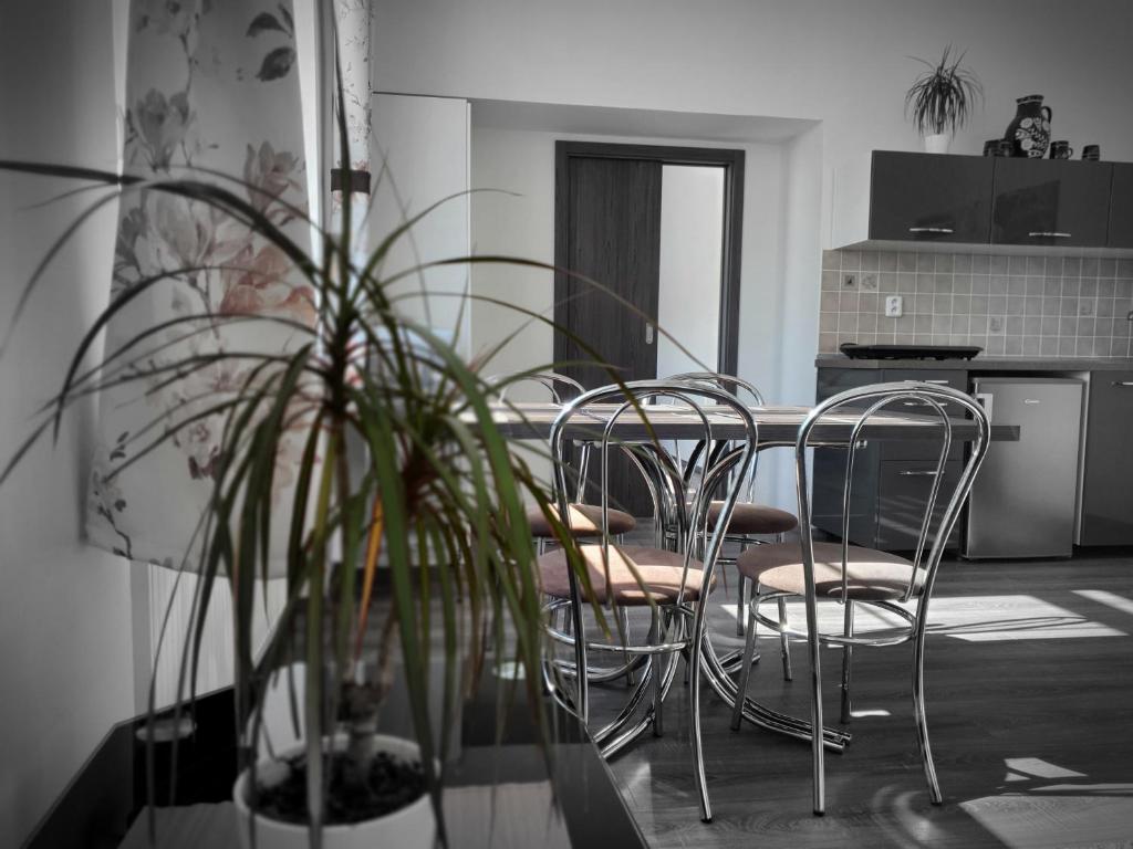 una cocina con sillas y una mesa con una planta en Apartmá na Hané en Kostelec na Hané