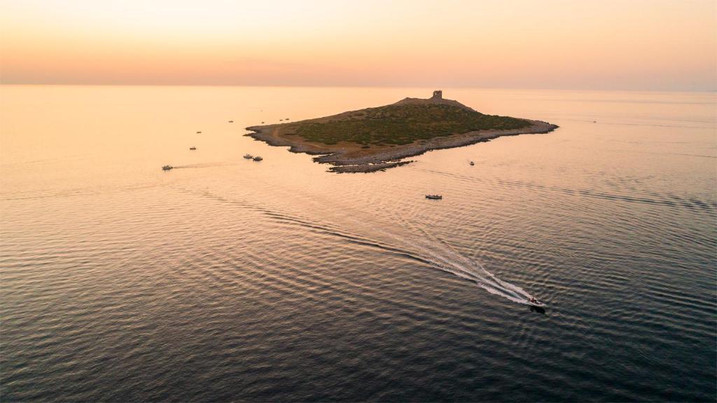an island in the water with a lighthouse on it at La Casetta sul Mare in Isola delle Femmine