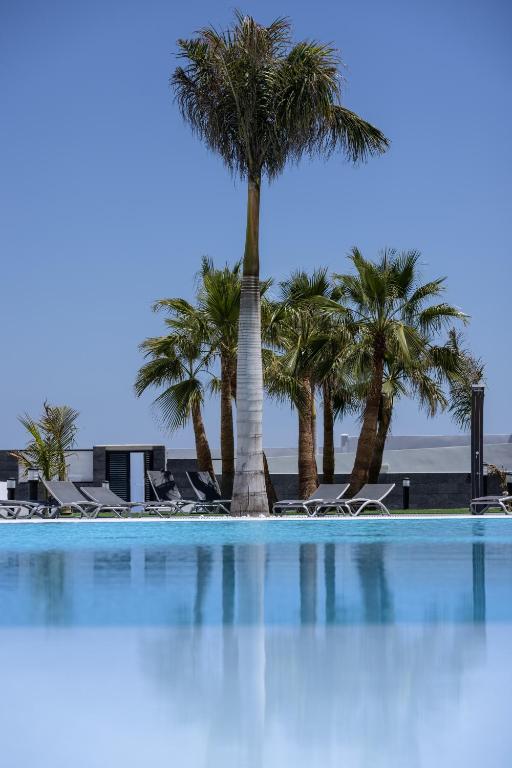 a swimming pool with palm trees and lounge chairs at Island Home Fuerteventura in Corralejo
