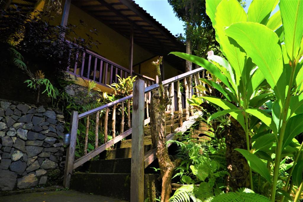 Zahrada ubytování Swar Bali Lodge