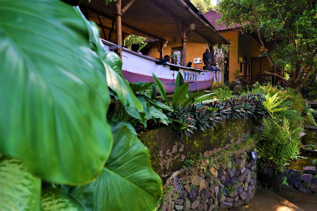 Zahrada ubytování Swar Bali Lodge