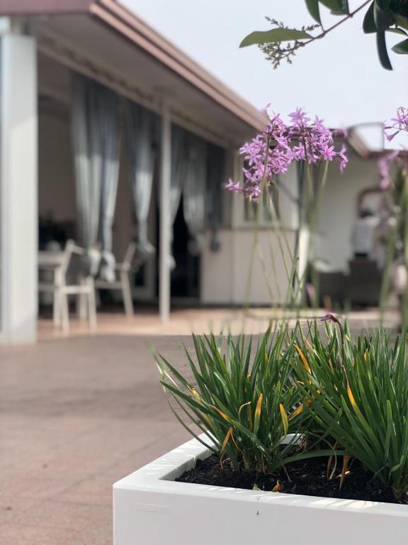 Vonkajšia záhrada v ubytovaní La Casa del Viaggiatore