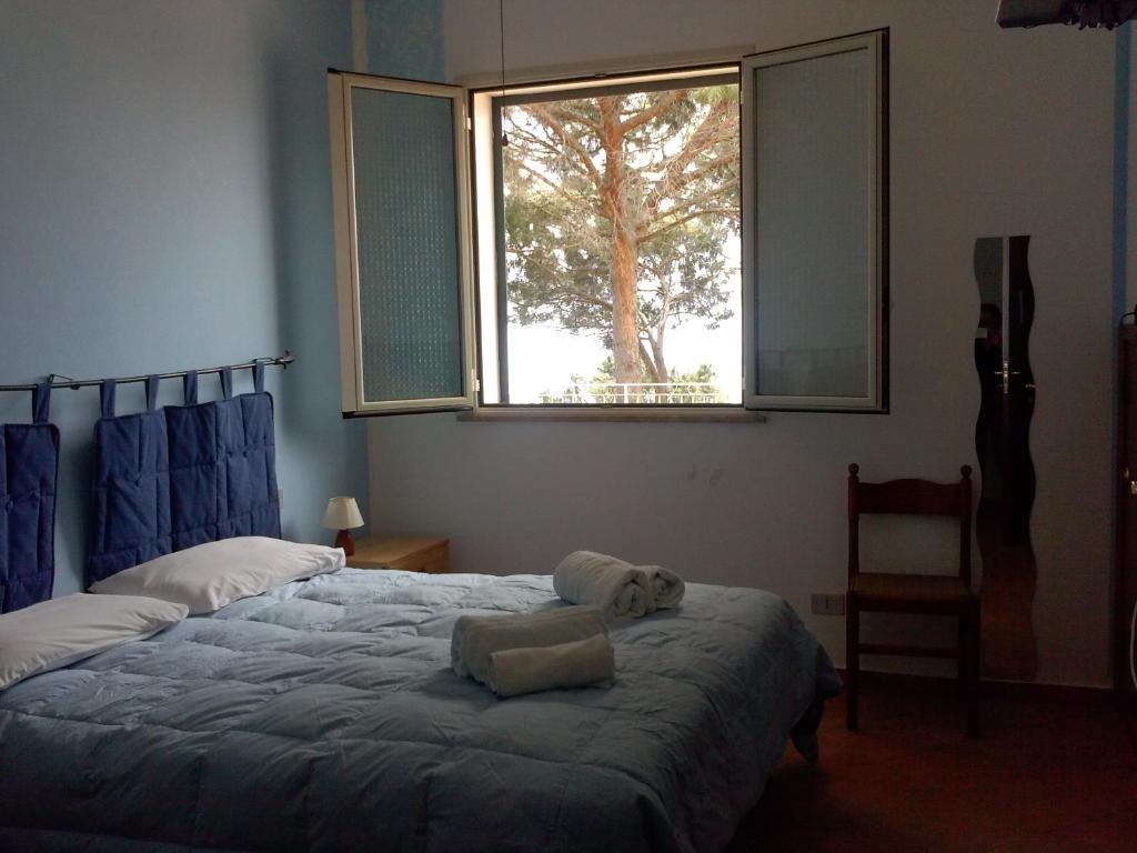 Alba Tra I Pini B&B - 16