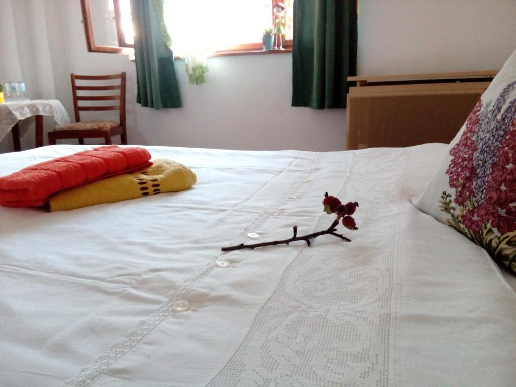 GrandPa's Room - Chambre Queen Avec Vue Sur Le Jardin