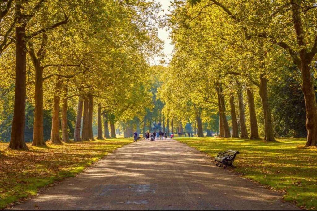 Central London Luxury Apartment very close to Hyde Park
