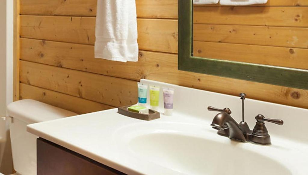Bluegreen Vacations Shenandoah Crossing, Ascend Resort Collection - Queen Suite With Sofa Bed