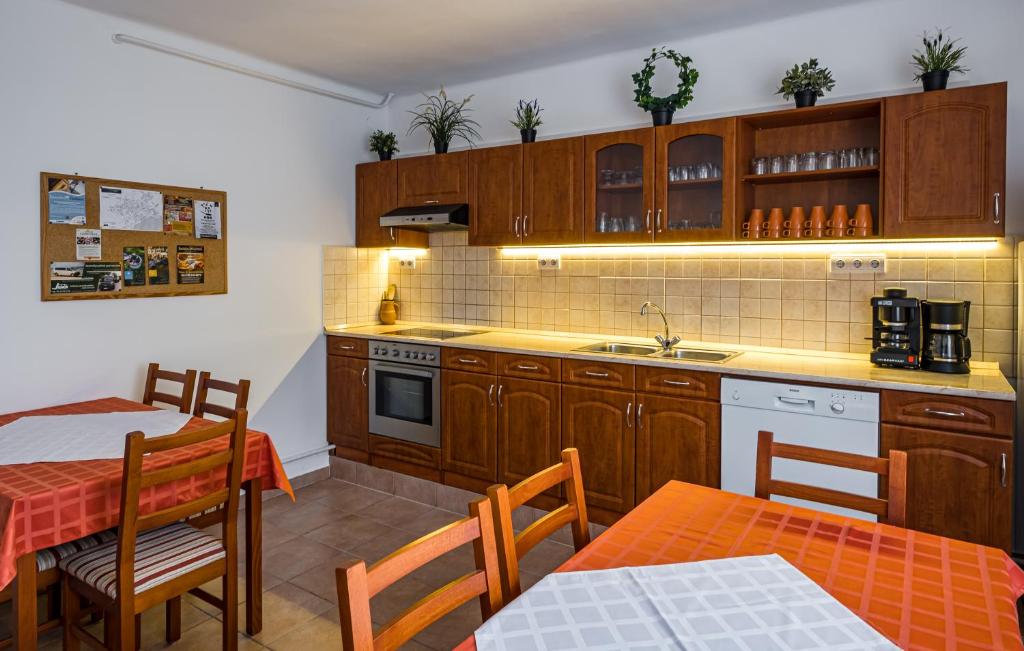 Kuchyň nebo kuchyňský kout v ubytování Babi Guesthouse - Babi Vendégház