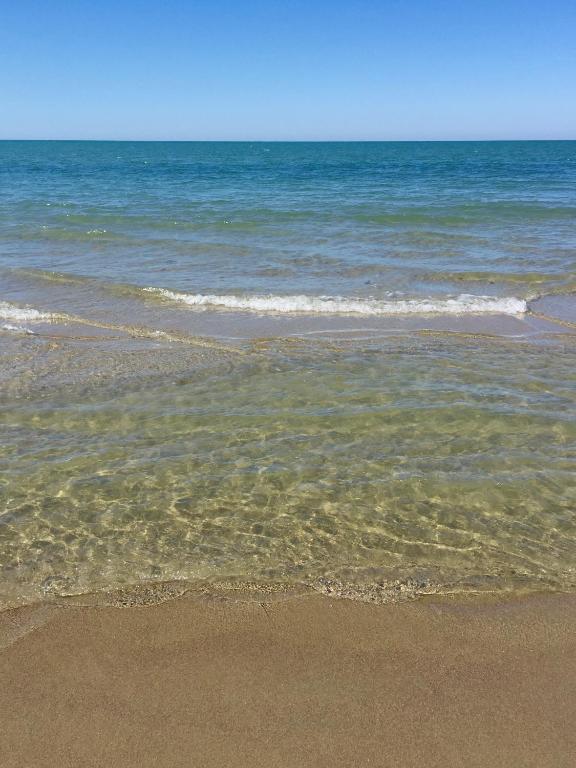 a sandy beach with the ocean and waves at Villino Ermione in Marina di Pisa