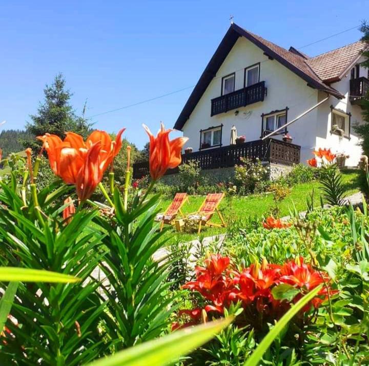 ein Haus mit einem Garten mit Blumen davor in der Unterkunft Casa Victoria in Moieciu de Sus