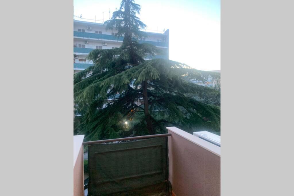 Kép Residenza Giovanni Paolo Secondo- Casa sull’albero szállásáról Bariban a galériában