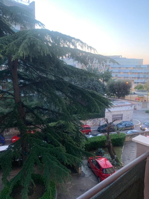 Kép Residenza Giovanni Paolo Secondo- Casa sull’albero szállásáról Bariban a galériában