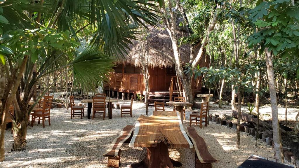 einen Picknicktisch und Stühle in einem Garten mit Bäumen in der Unterkunft Aldea Maya-Ha Cabañas con cenotes in Puerto Morelos