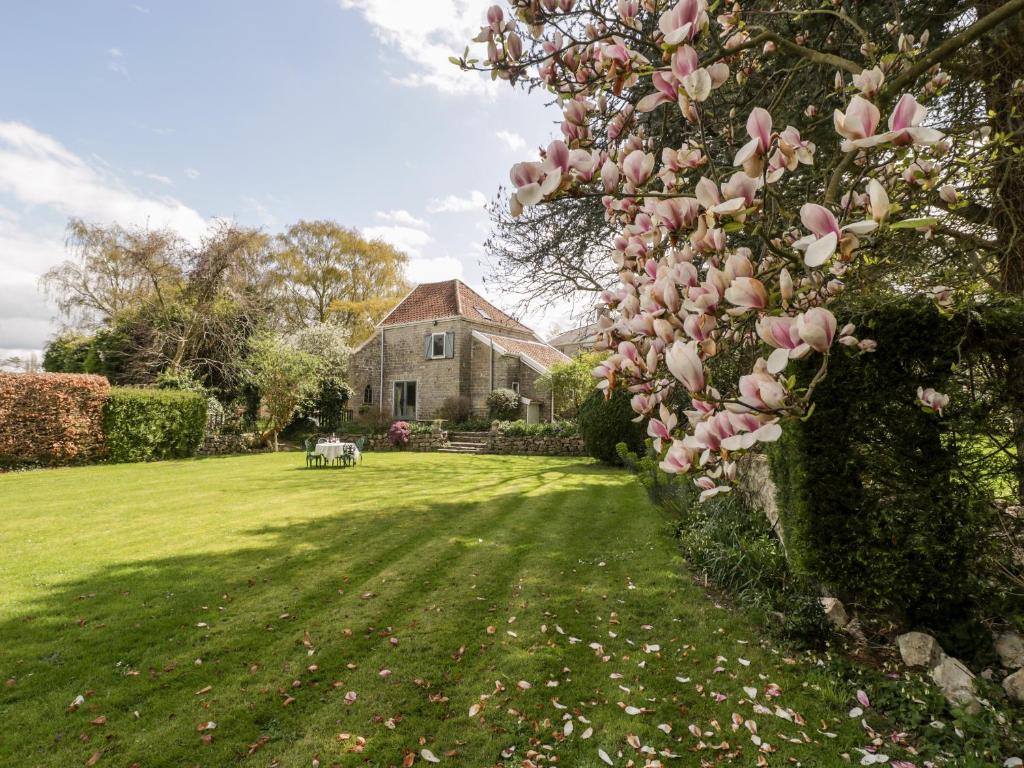 a magnolia tree in front of a house at The Granary in Edington