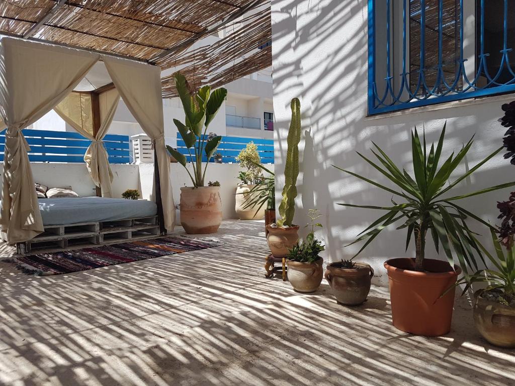 een veranda met potplanten en een bed in een kamer bij Dar Doudi in Sousse