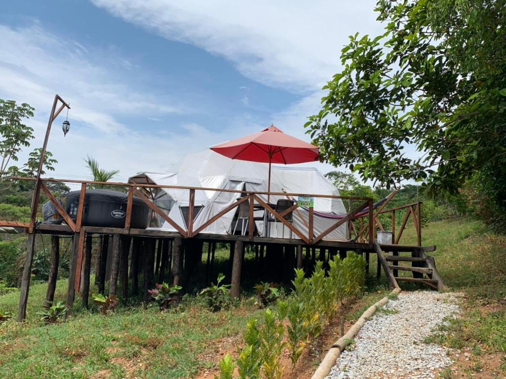Zahrada ubytování Eco-Glamping Shalom
