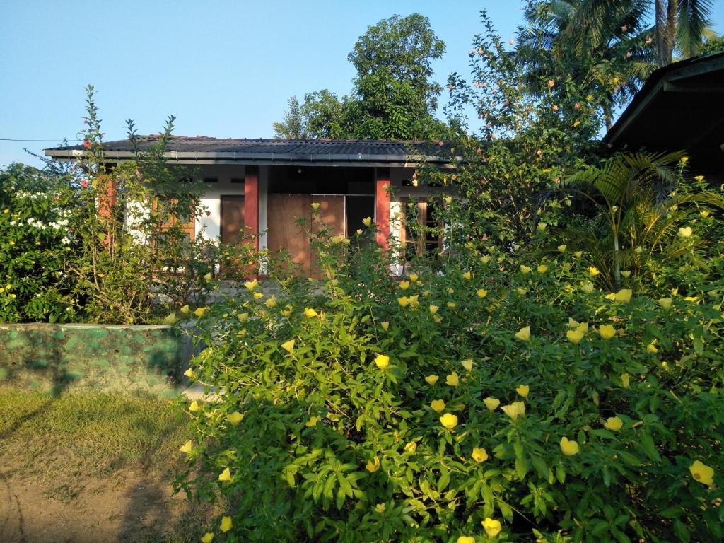 Zahrada ubytování The Nest