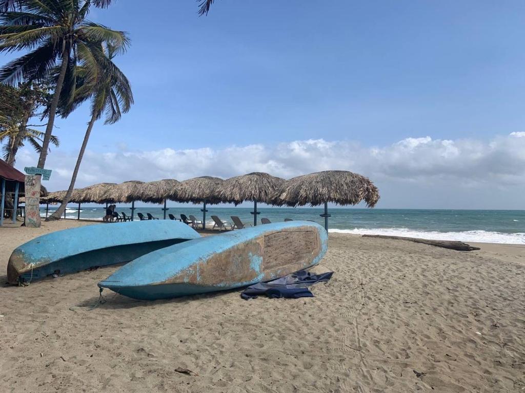 two surfboards on a beach with umbrellas and the ocean at Tayrona Juancho's House Hostel & Coworking in Los Naranjos