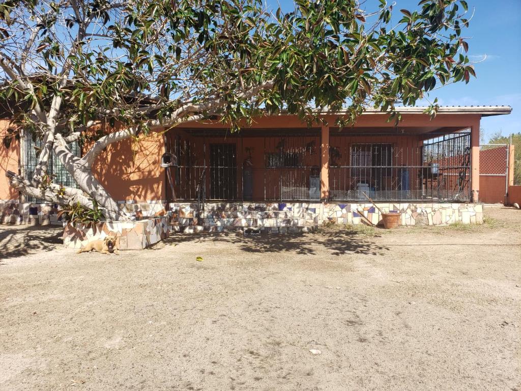 Casa Mora naranja
