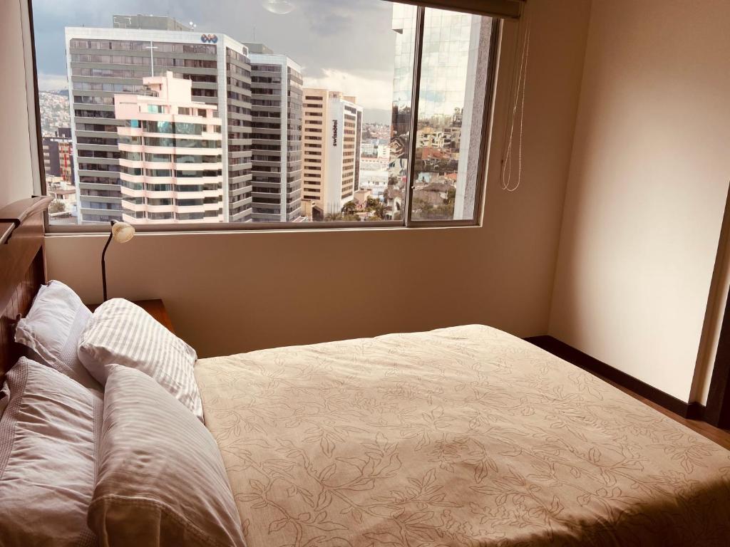 Olympus Apartments - Double Room With Mountain View 1005