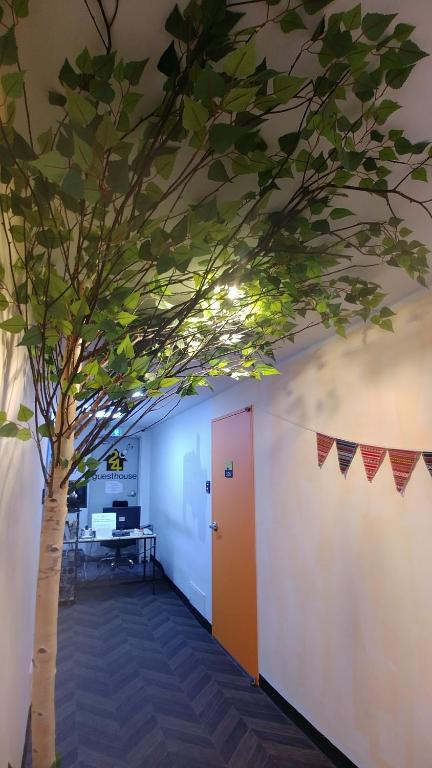 Fotografie z fotogalerie ubytování 24Guesthouse Seomyeon v destinaci Pusan