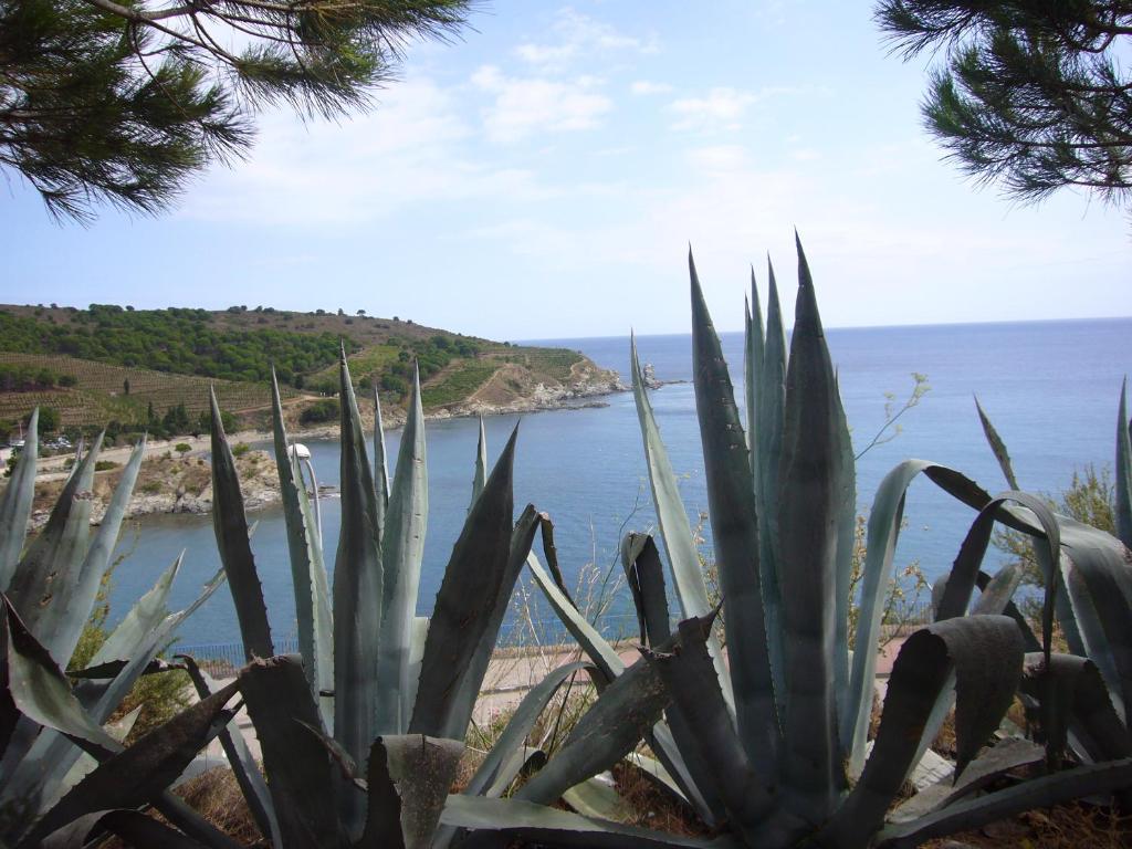 WEEK END EVASION A BANYULS SUR MER DANS PYRENEES ORIENTALES