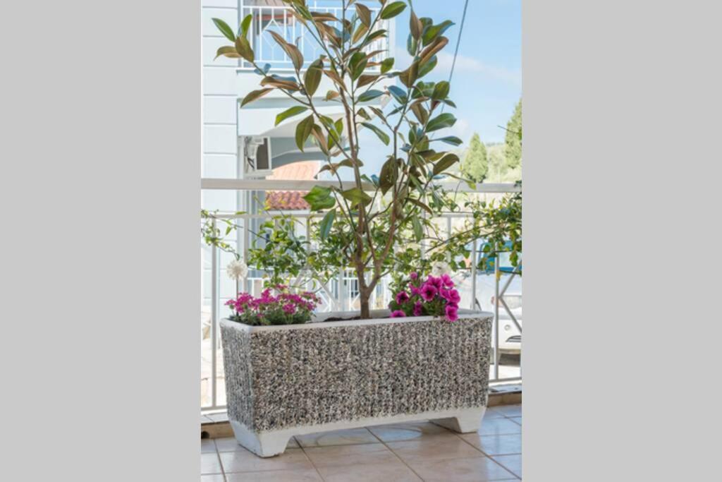 Balkon lub taras w obiekcie THEA
