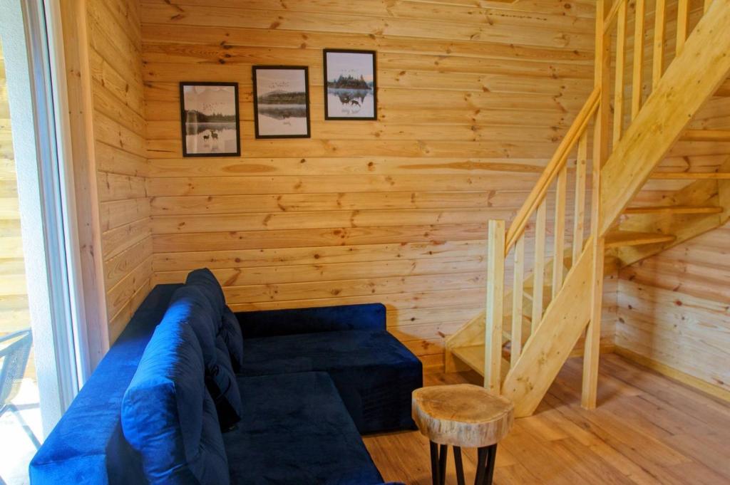 Domki i Apartamenty Wieleń - 