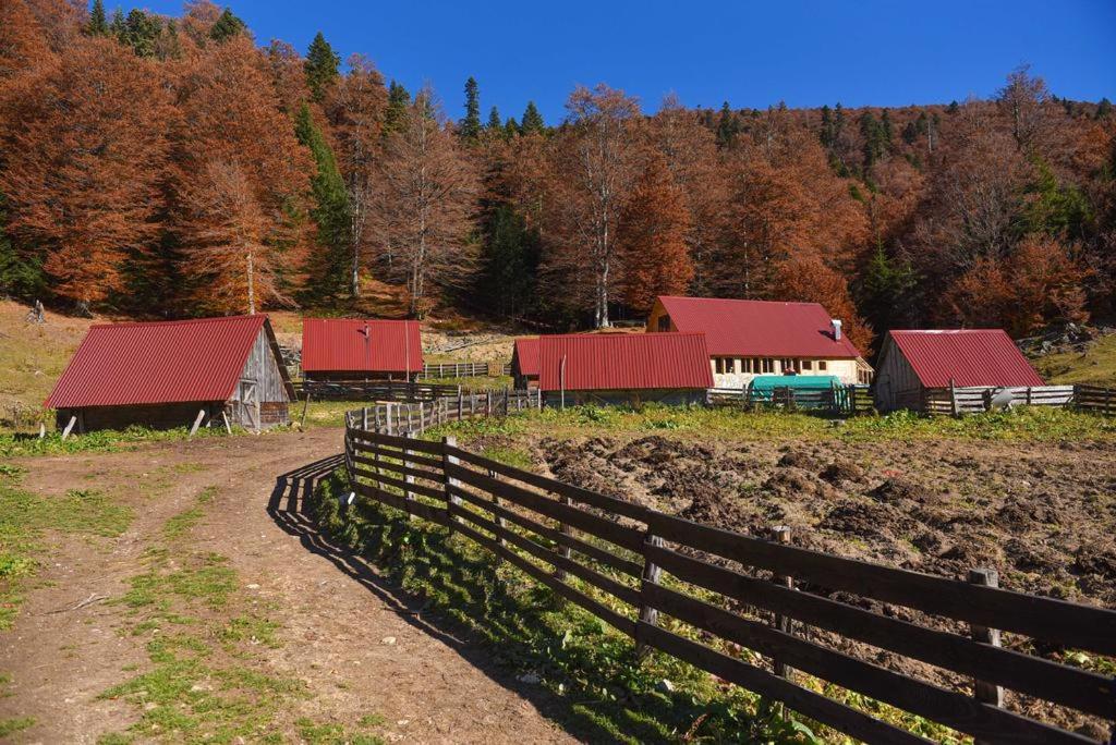 a farm with barns and a fence in a field at Dulović - KATUN POTOCI in Kolašin
