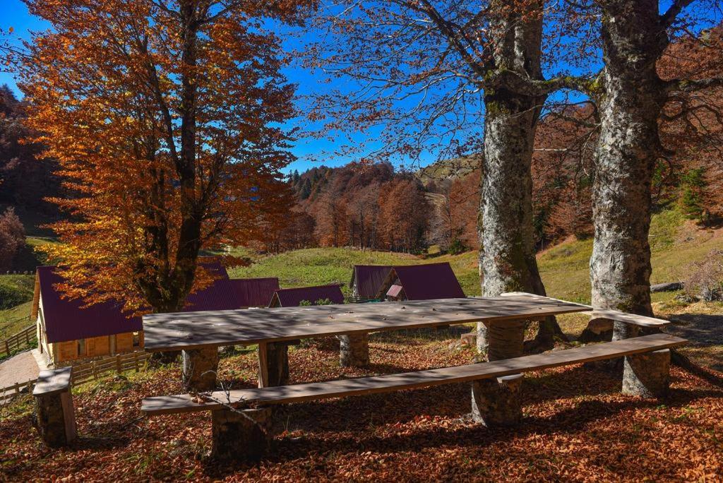 a wooden picnic table in a field with trees at Dulović - KATUN POTOCI in Kolašin