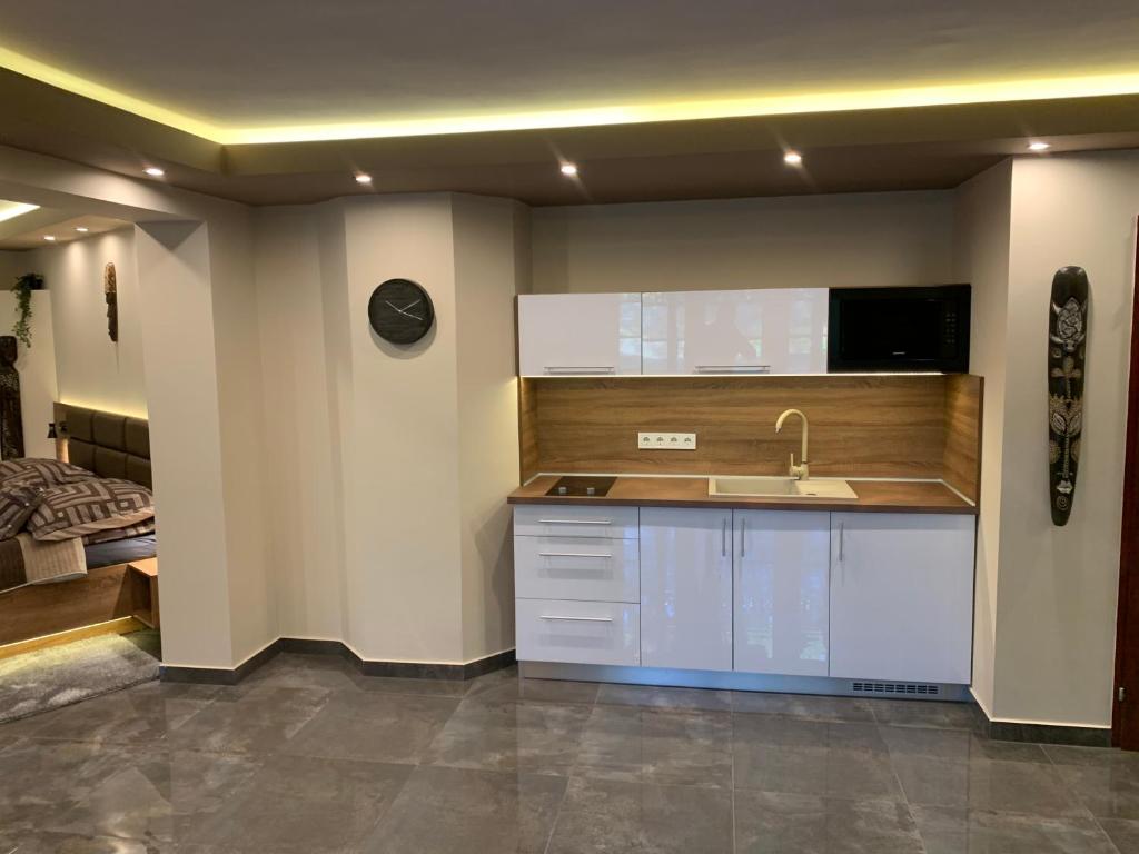 Kuchyň nebo kuchyňský kout v ubytování The Jakuzzi Room Miskolctapolca