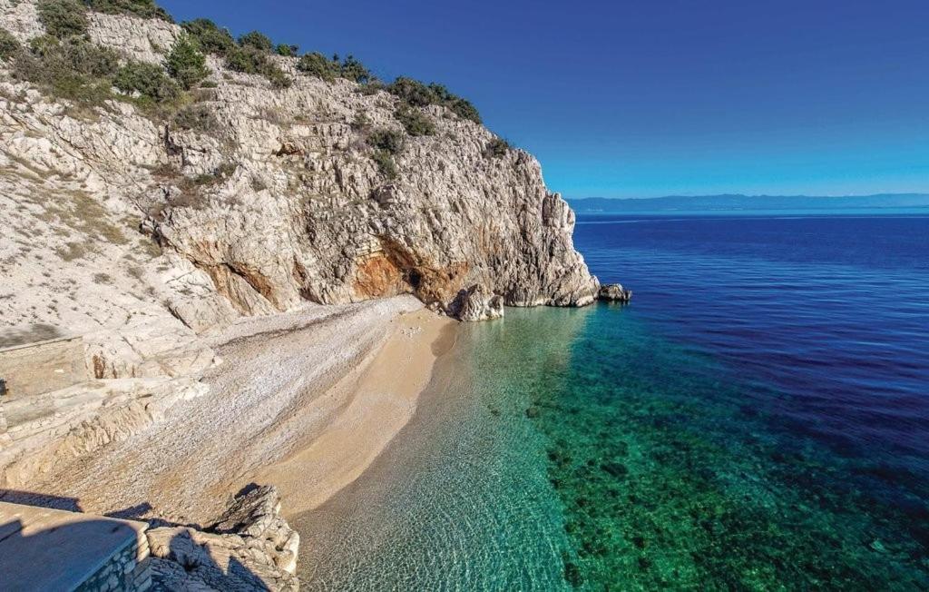 an aerial view of a beach next to the ocean at Apartment Martina in Brseč